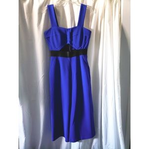 Venus Royal Blue Jumpsuit